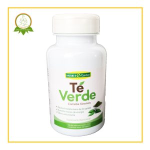 té-verde-antioxidante-estrés-oxidativo-envejecimiento-celular-circulación-sanguínea-metabolismo-cansancio-fatiga-cansancio-fisico-mental